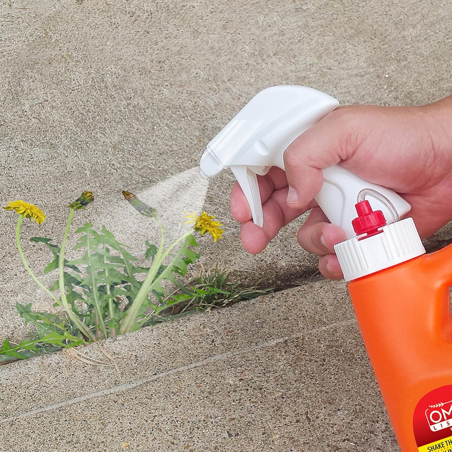 DR Earth Final Stop Ready-to-Use Natural Herbicide, 1 Gallon