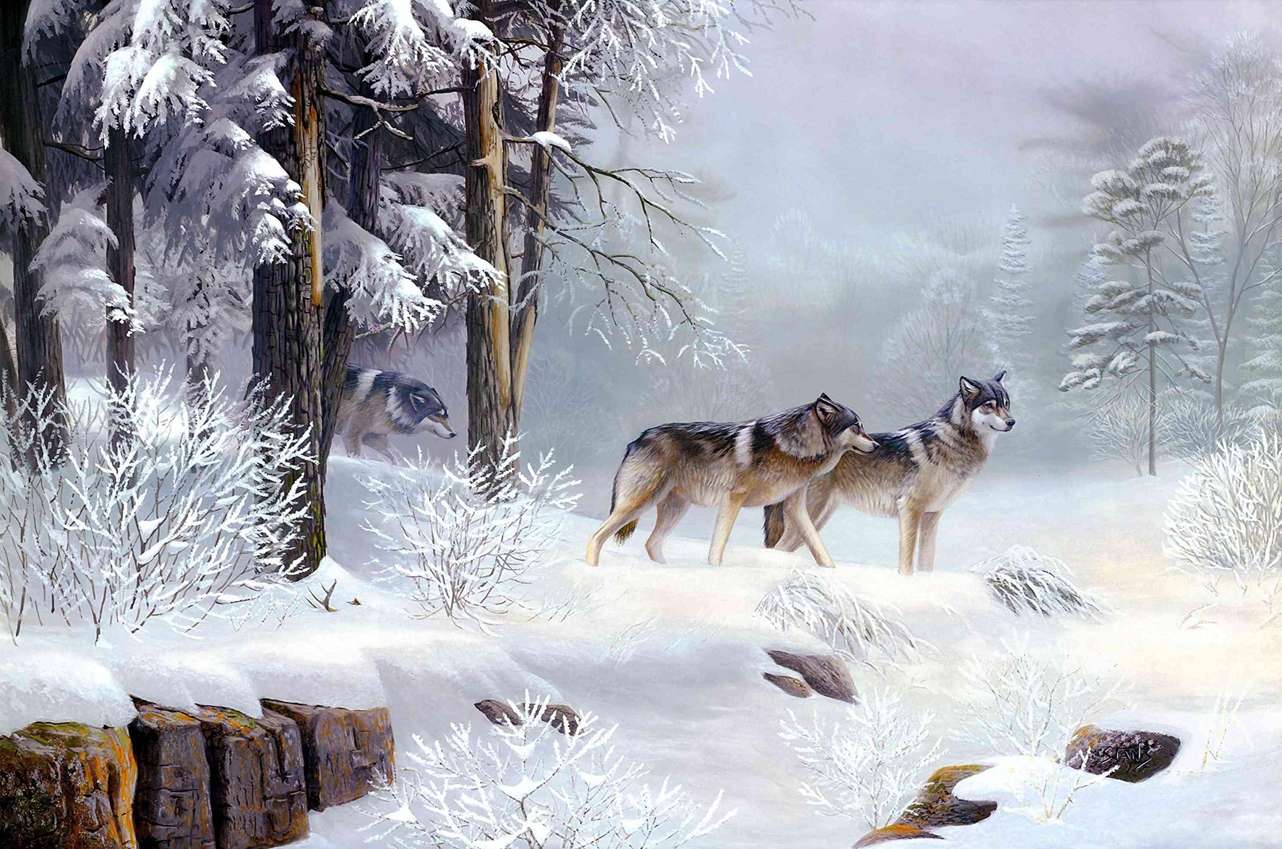 20"x30" Hd Canvas Print Home Decor Art Painting (No Frame), Winter Wolf on the Prairie, Snow,