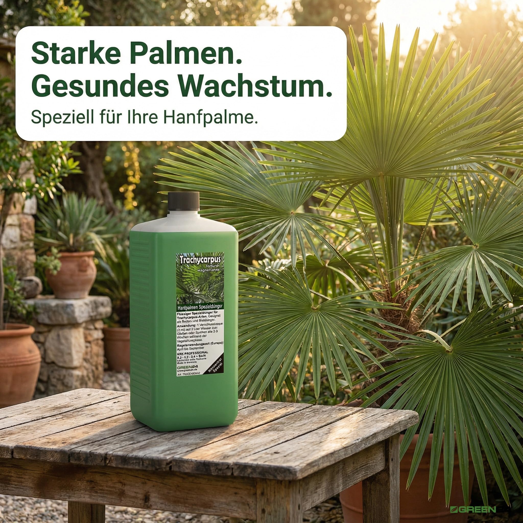 Trachycarpus Dünger XL 1 Liter für Hanfpalmen Tessinerpalmen Trachycarpus fortunei wagnerianus Palmen als Spezial Wurzeldünger + Blattdünger Profi Linie düngen