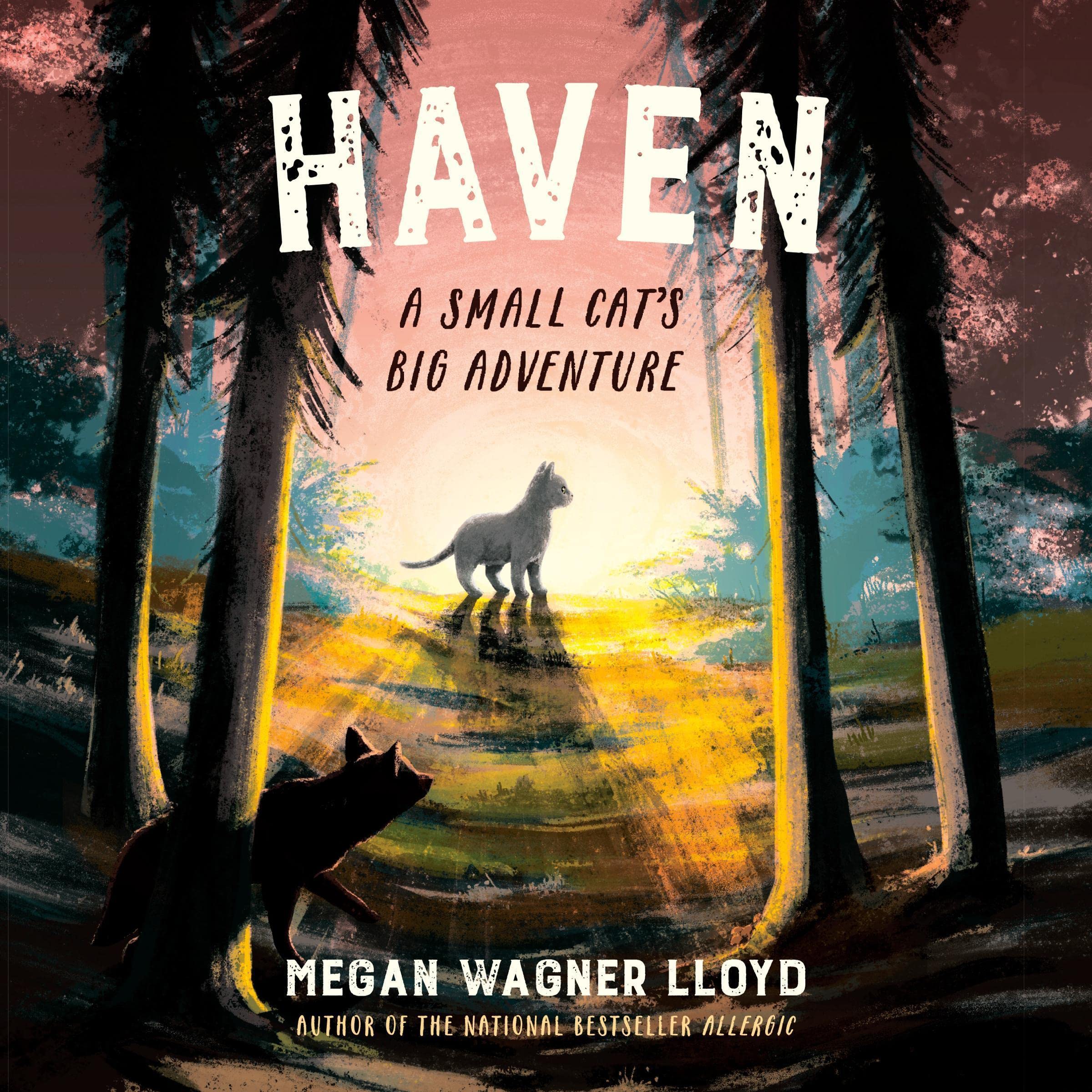Cover art for Haven