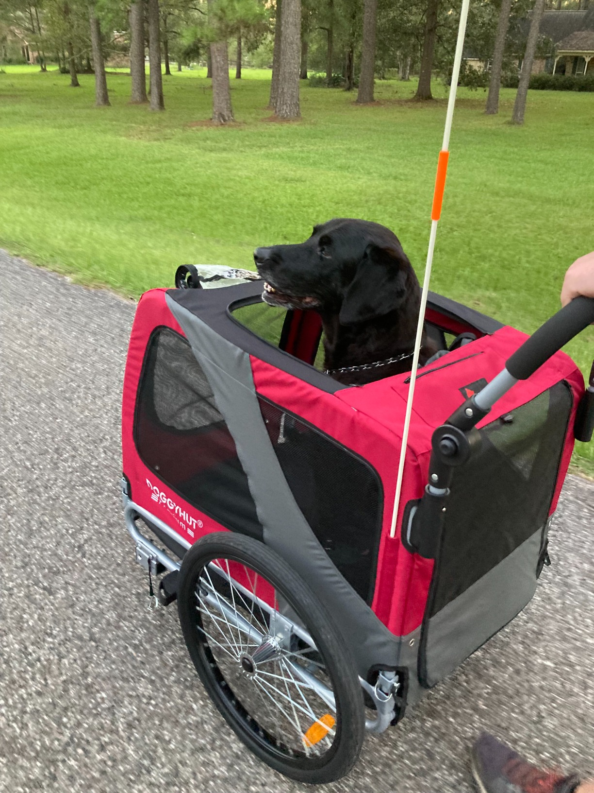 40/mo Finance Doggyhut Premium Pet Bike Trailer & Stroller for Small