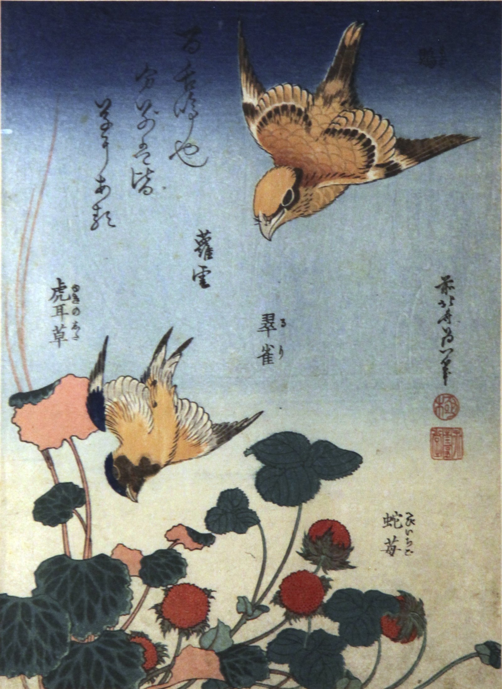 Cuadro Swallow & Shrike de Hokusai en papel mate de archivo premium