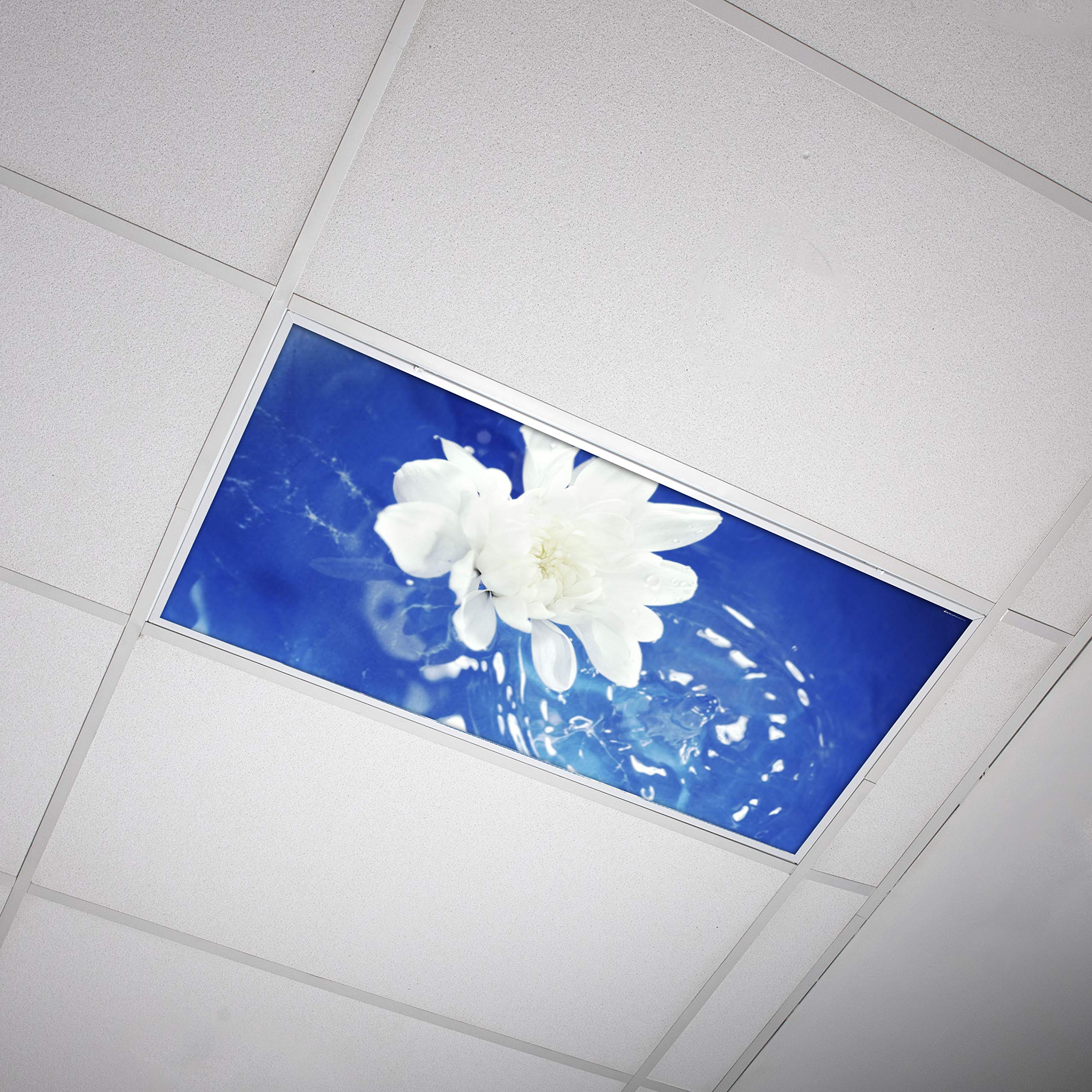 Fluorescent Light Cover for Classroom Ceiling Lights Flowers - Premium Backlit Film Insert 2x4 (22.38"x46.5") Florescent Fixture (Pack of 1) School,