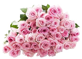 Blooms2Door-50 Pink Rose Bouquet, Flowers for Valentine, Mothers Day