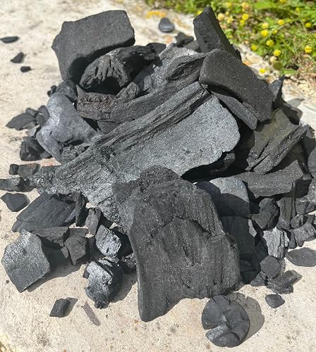 Favorit Barbecue charcoal 15 kg (made from pure hardwood, extra large grain, long-lasting ember, barbecue charcoal in restaurant quality) 1500 - 5