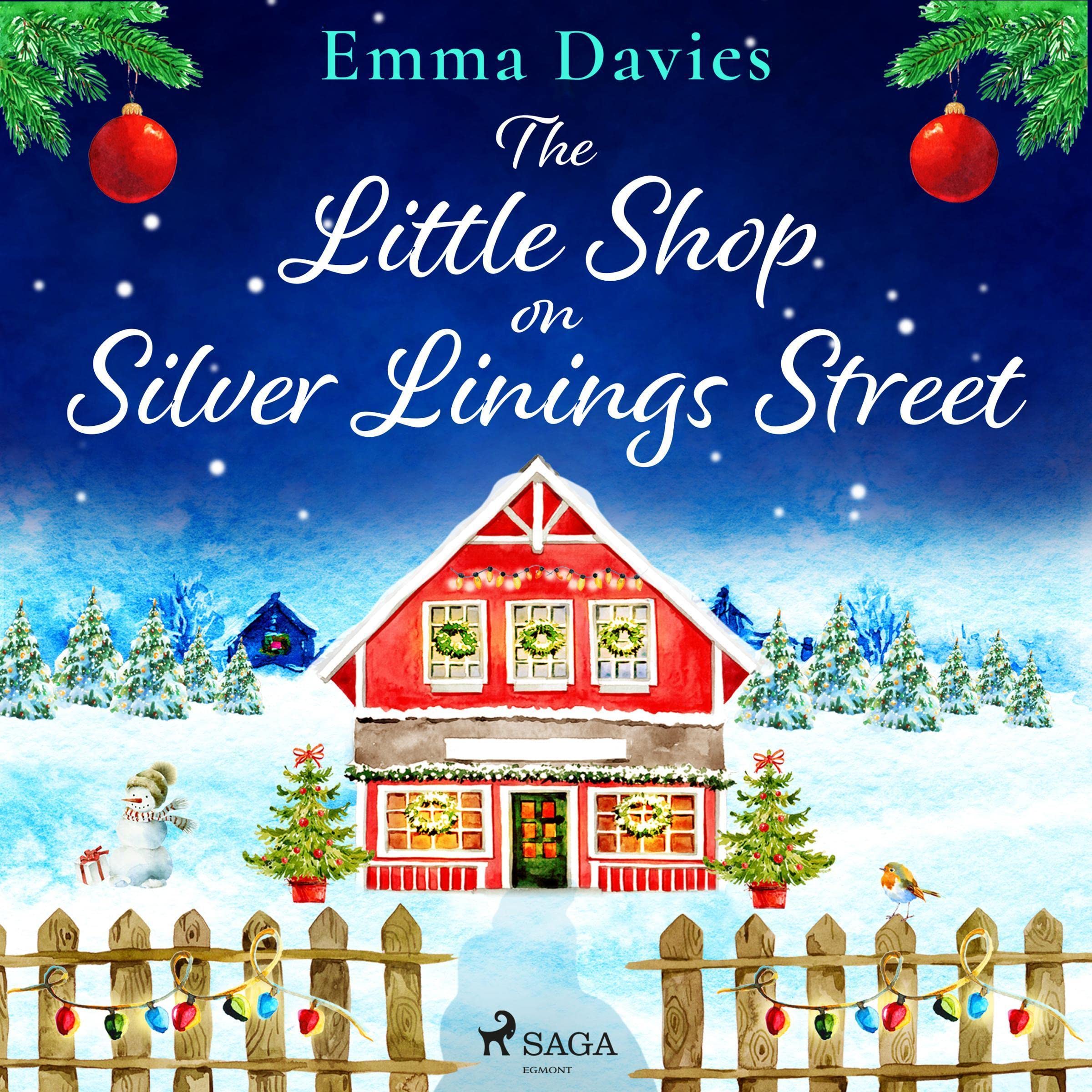 The Little Shop on Silver Linings Street