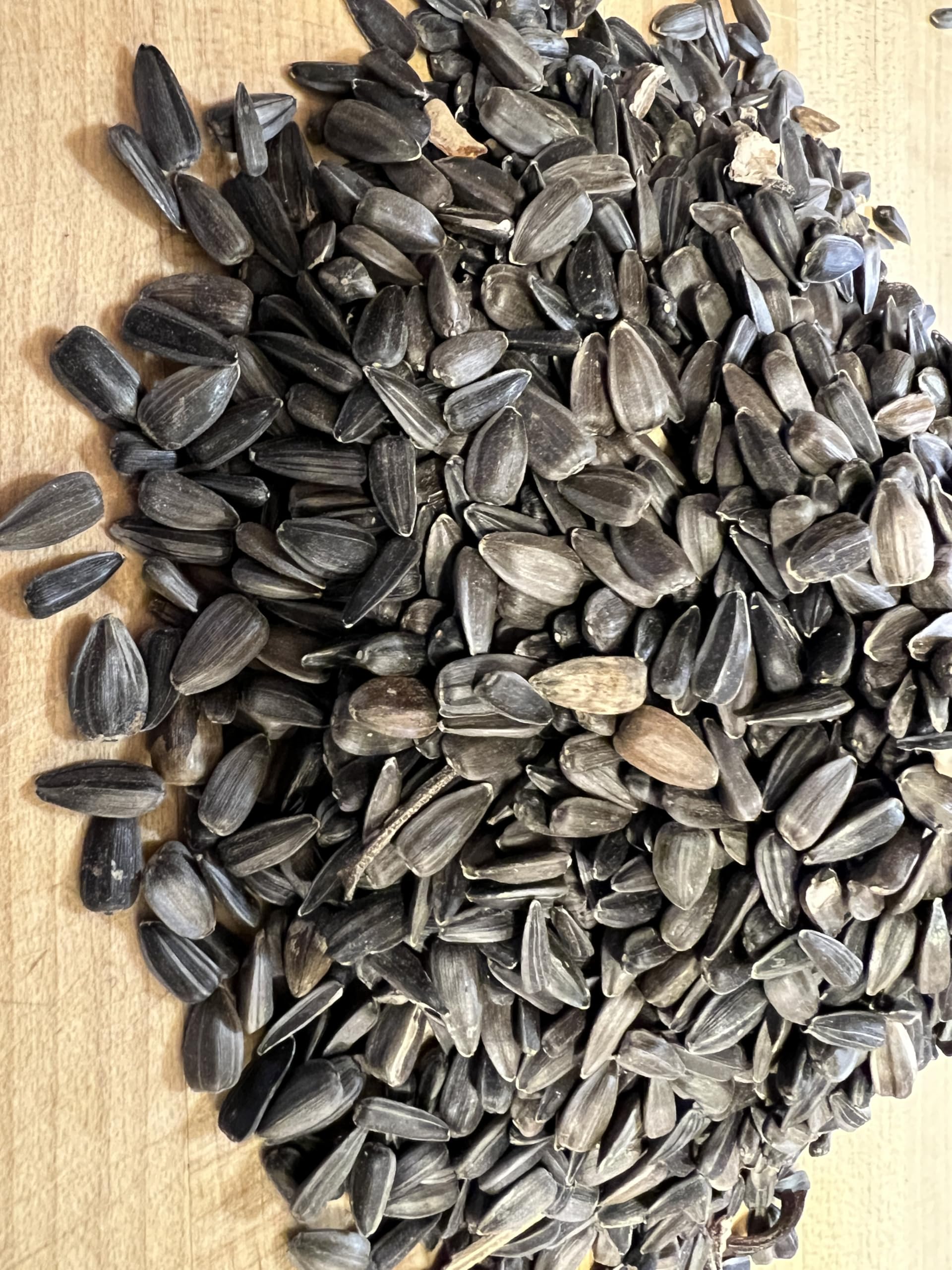 Amazon.com : Black Oil Sunflower Seeds Non GMO for Planting or Sprouting  One Pound Apprx 1200 Seeds : Patio, Lawn & Garden