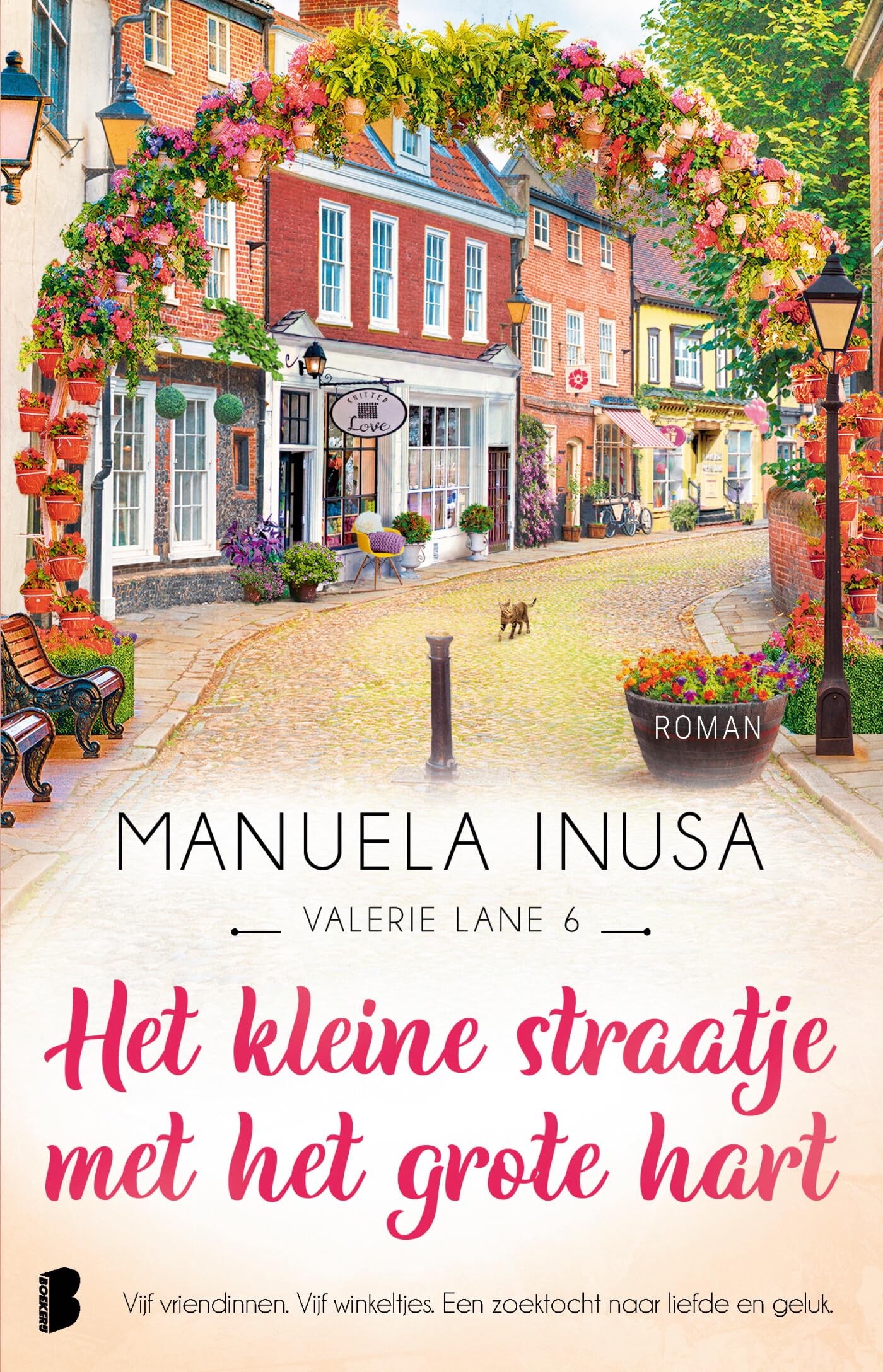 Het kleine straatje met het grote hart: Deel 6 van de Valerie Lane-serie