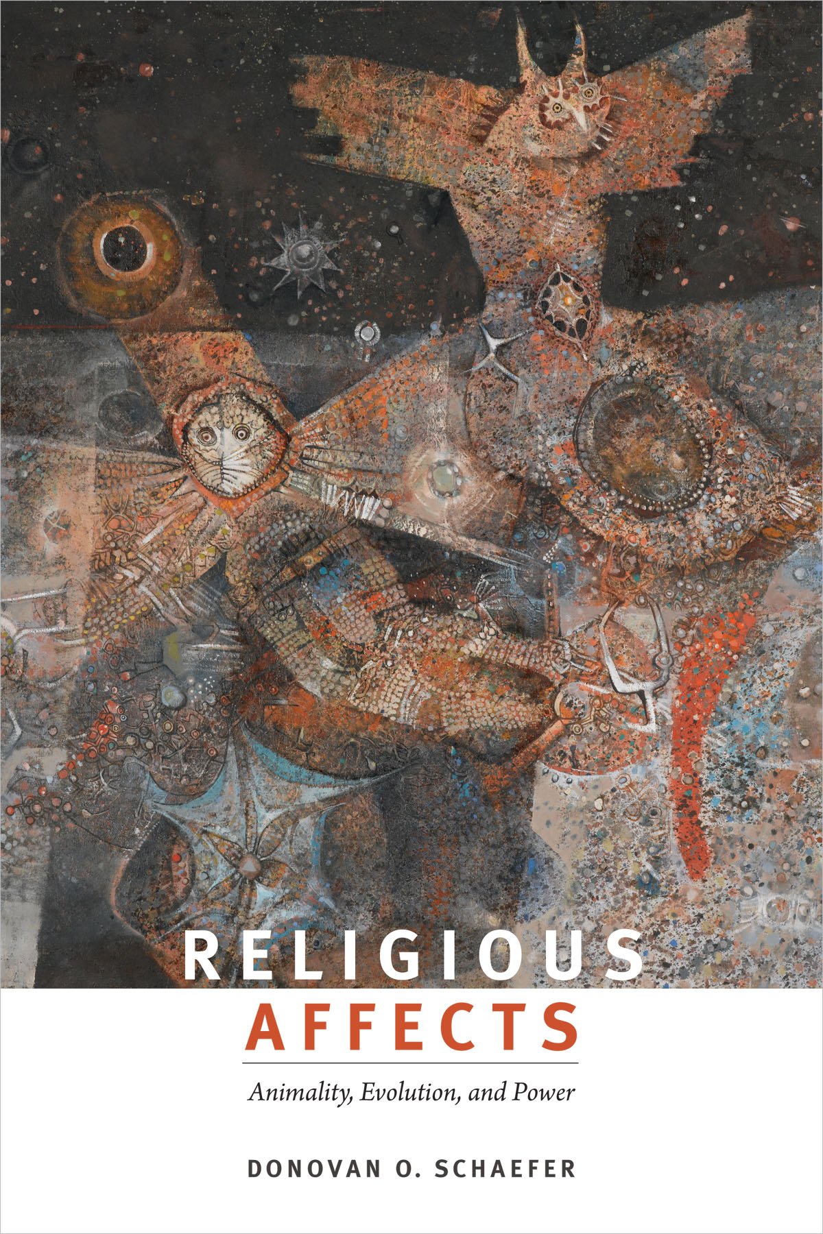 Religious Affects by Donovan O. Schaefer PAPERBACK 9780822359906