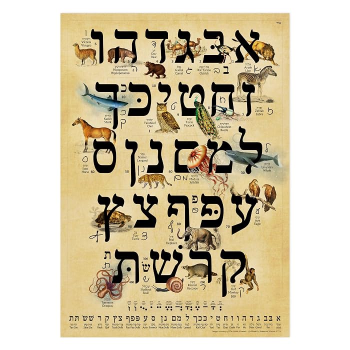 Buy Learn Hebrew Illustrated Animal Hebrew Aleph Bet Wall Chart (A3 11. ...