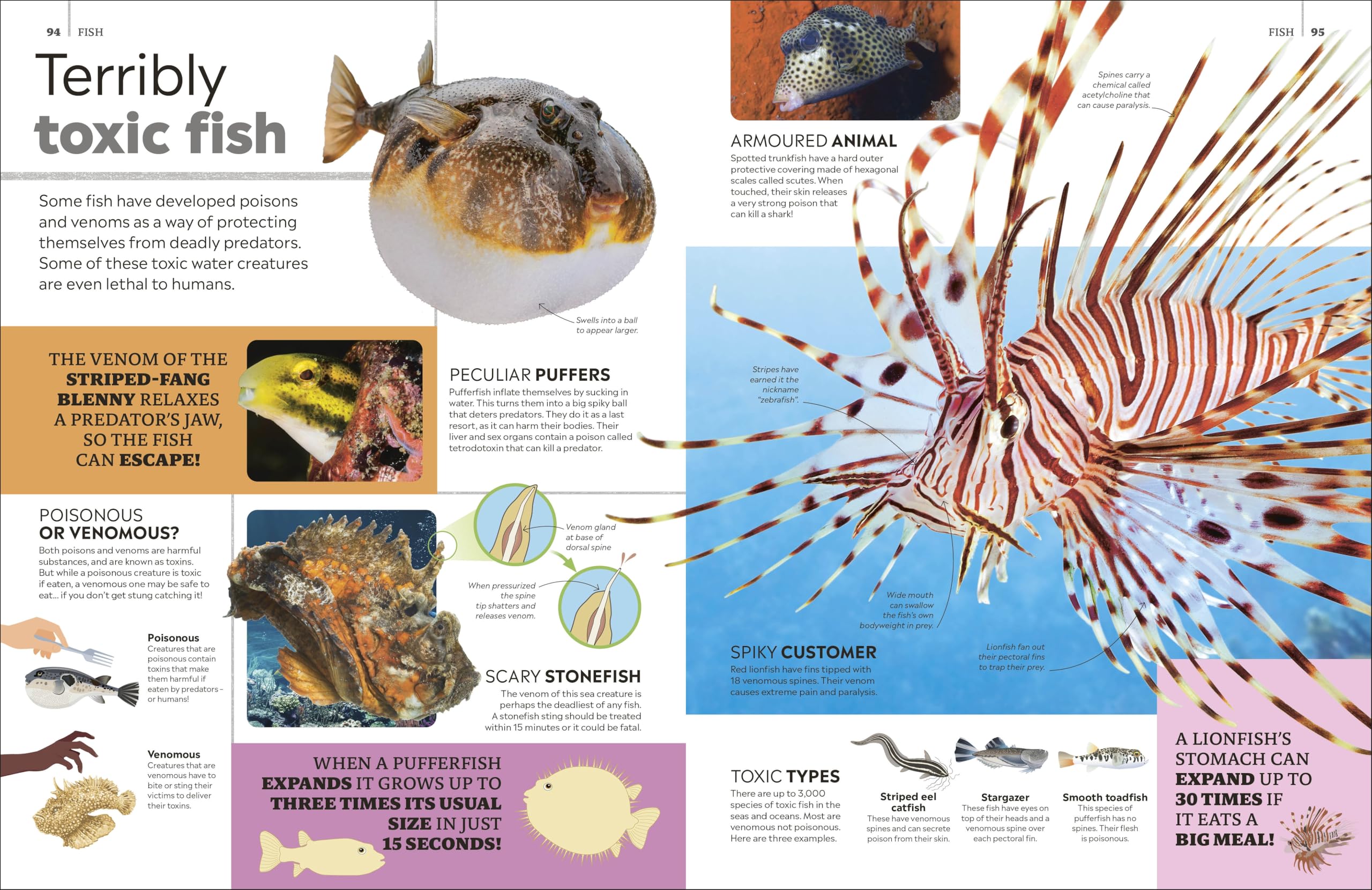 Eyewitness Encyclopedia of Animals