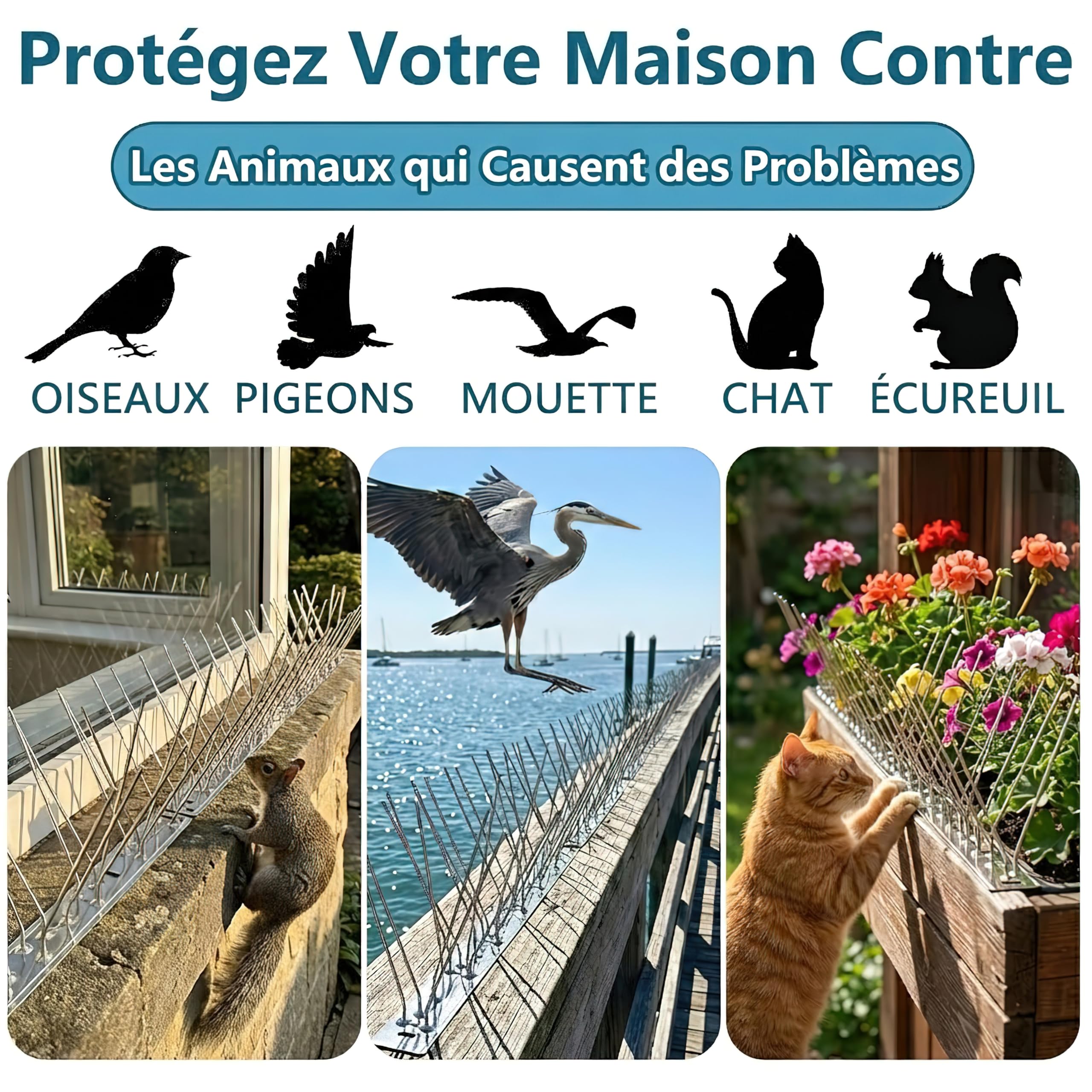Anti Pigeon INOX 304 Kit Répulsif Oiseaux 1m 4 Pcs 25cm 8 Vis 8 Colliers