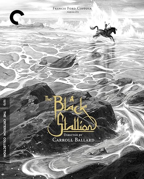 Amazon Com The Black Stallion Blu Ray Kelly Reno Mickey Rooney Teri Garr Carroll Ballard Movies Tv