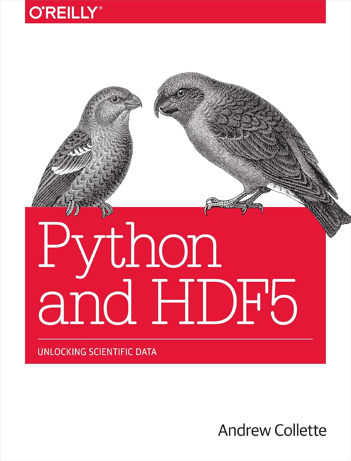 Python and HDF5: Unlocking Scientific Data eBook : Collette, Andrew ...