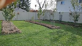 Review Image by Adrya L Webb Adrya L Webb