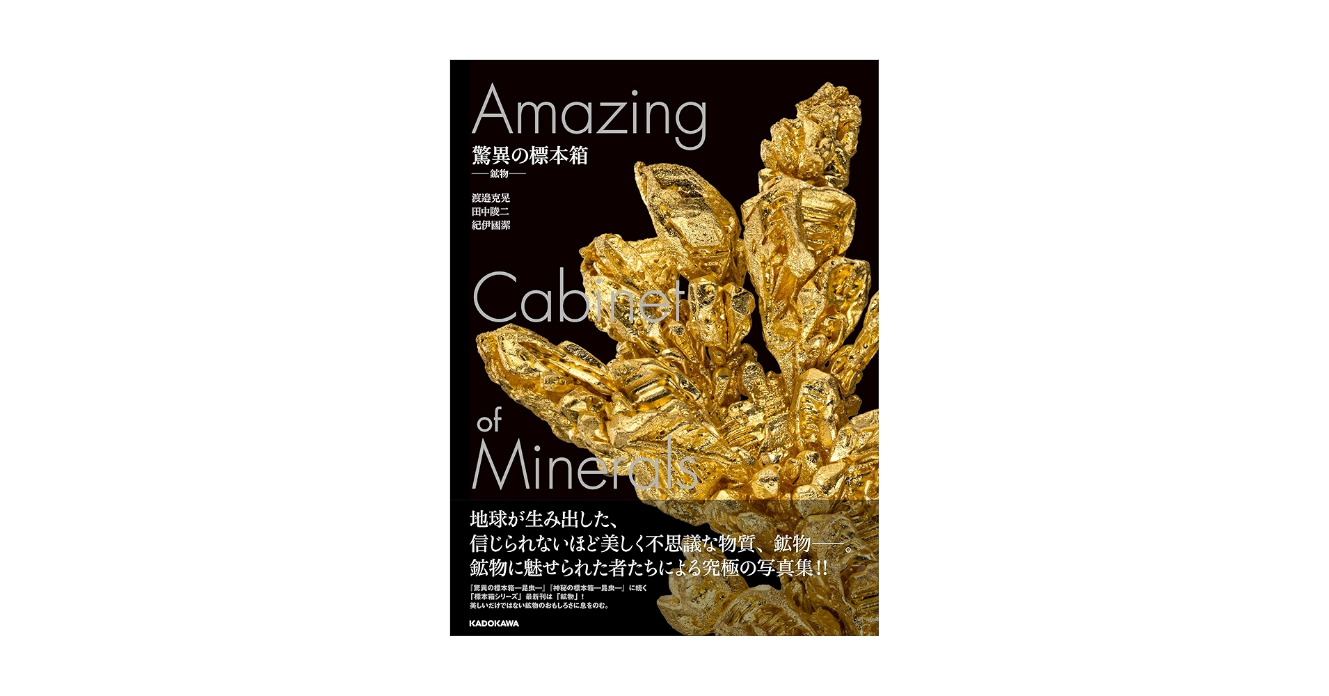 宝石・鉱物関連本4冊　驚異の標本箱ー鉱物ー　ファインミネラル　鉱物画　珍奇鉱物 宝石・鉱物関連本4冊 驚異の標本箱ー鉱物ー ファインミネラル