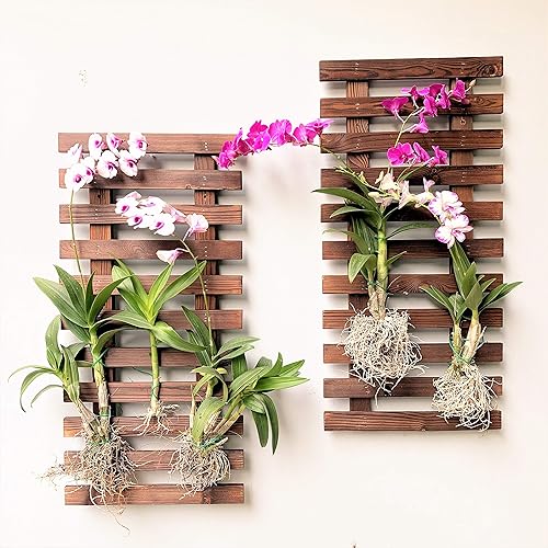 Miniatura 7 de ShopLaLa Macetero de pared  Paquete de 2 macetas colgantes de madera para plantas de interior, soporte de pared para plantas, escalera de jardín
