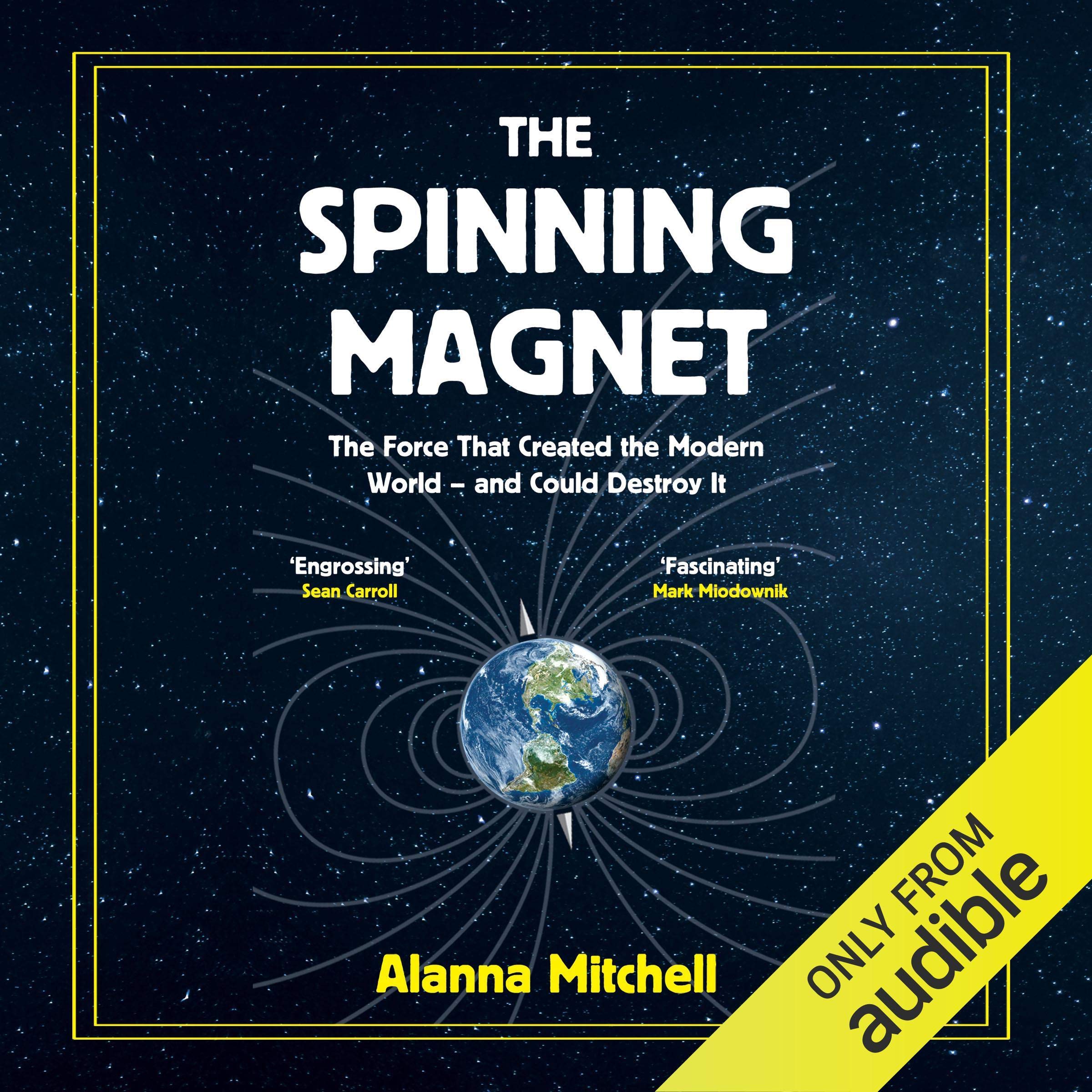 The Spinning Magnet: The Force That Created the Modern World - and Could Destroy It