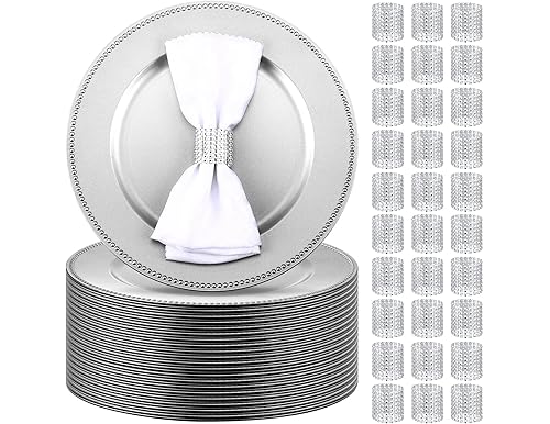 100 Pack Silver Charger Plates Bulk: The Ultimate Guide (2024)