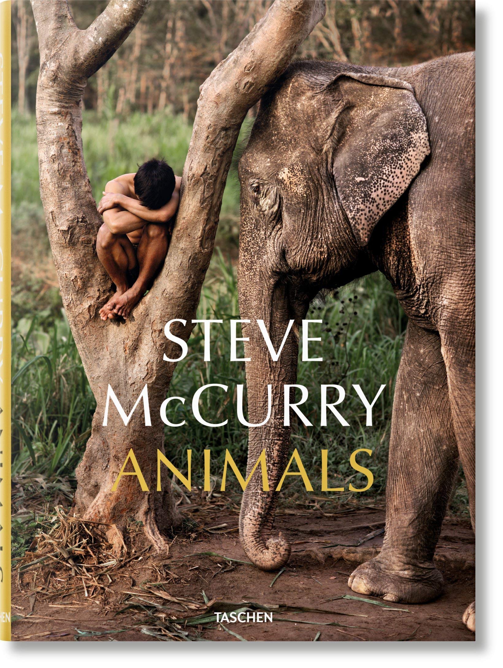 Steve McCurry. Animals (Multilingual Edition)