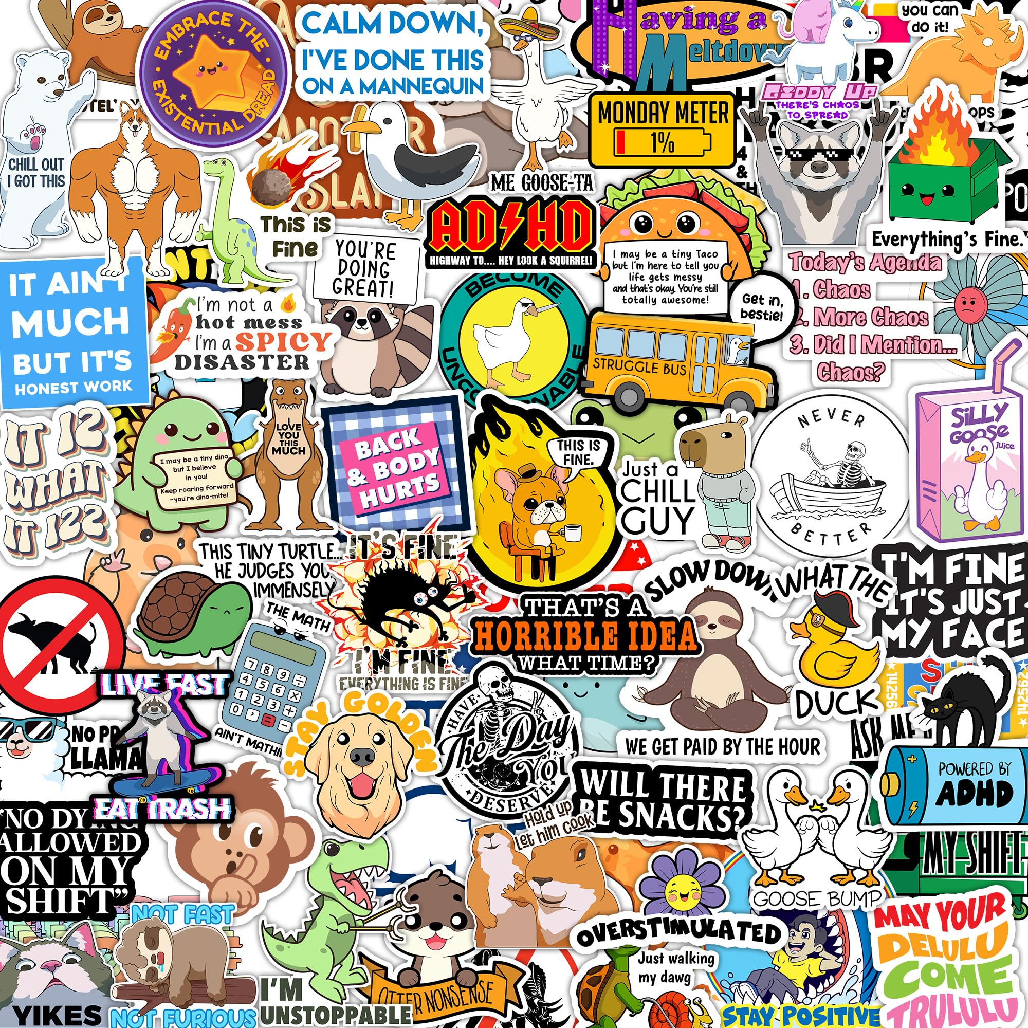 166 Pcs Funny Stickers for Adults Dirty Humor, Water Bottles Waterproof Cool Stickers for Laptop, Bumper, Phone, Hard Hats, Sarcastic, Scrapbooking