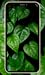 Green Wallpapers