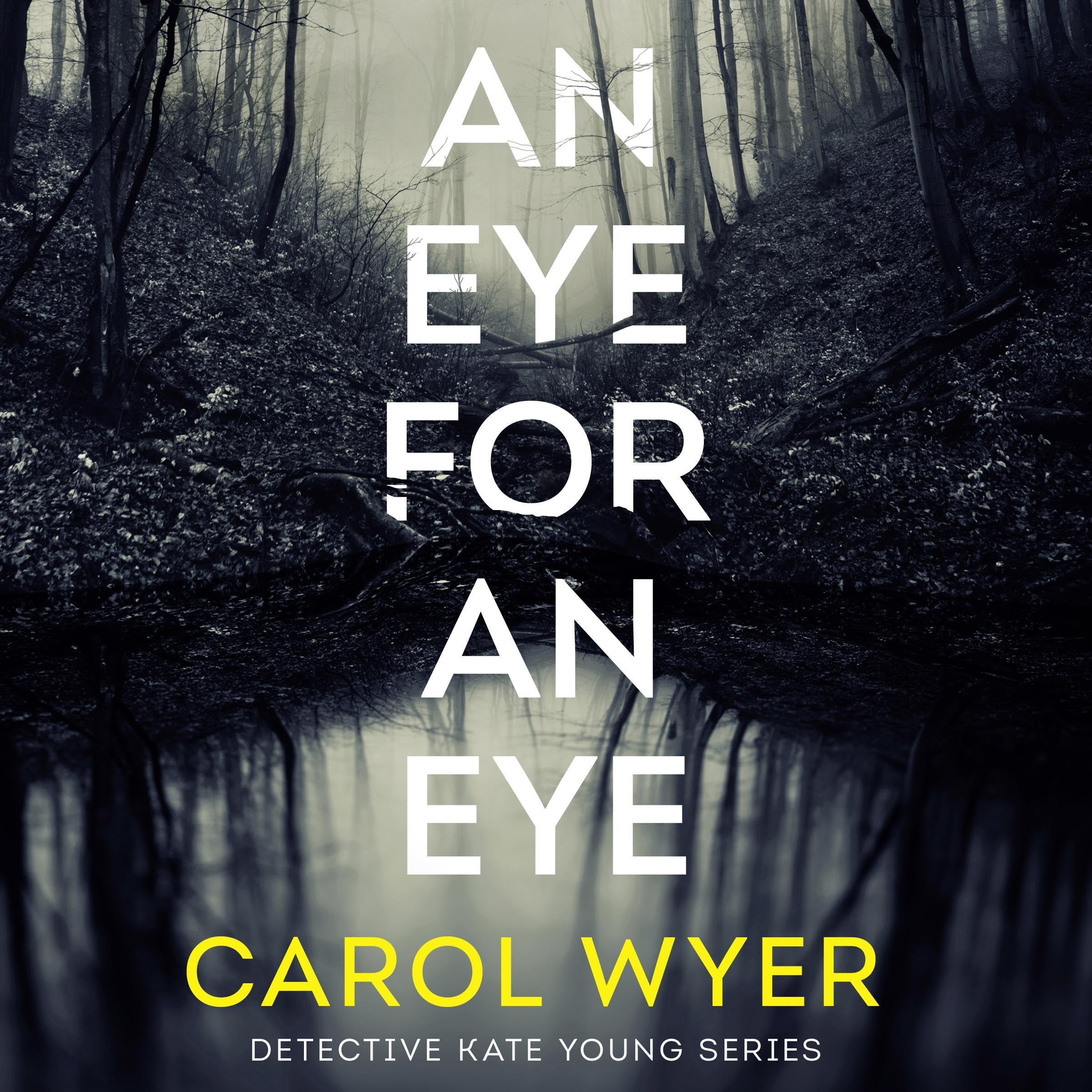 Cover art for An Eye for an Eye: Detective Kate Young, Book 1