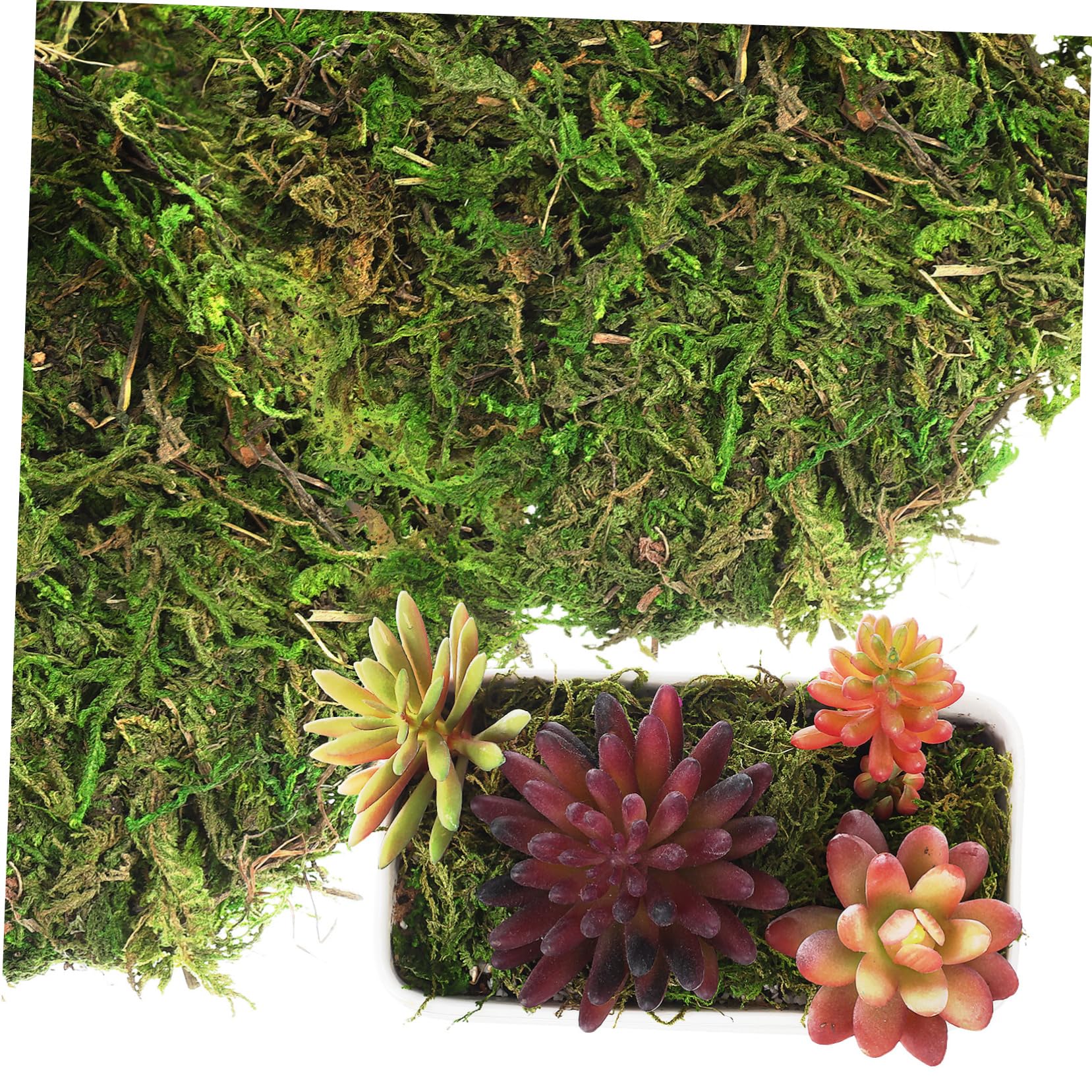 Cabilock Fake for Indoor Plants Artificial for Crafts Decoration for Floral Arrangements Projects and Wall Decor