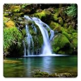 Setzen Sie ein Bild als Hintergrundbild