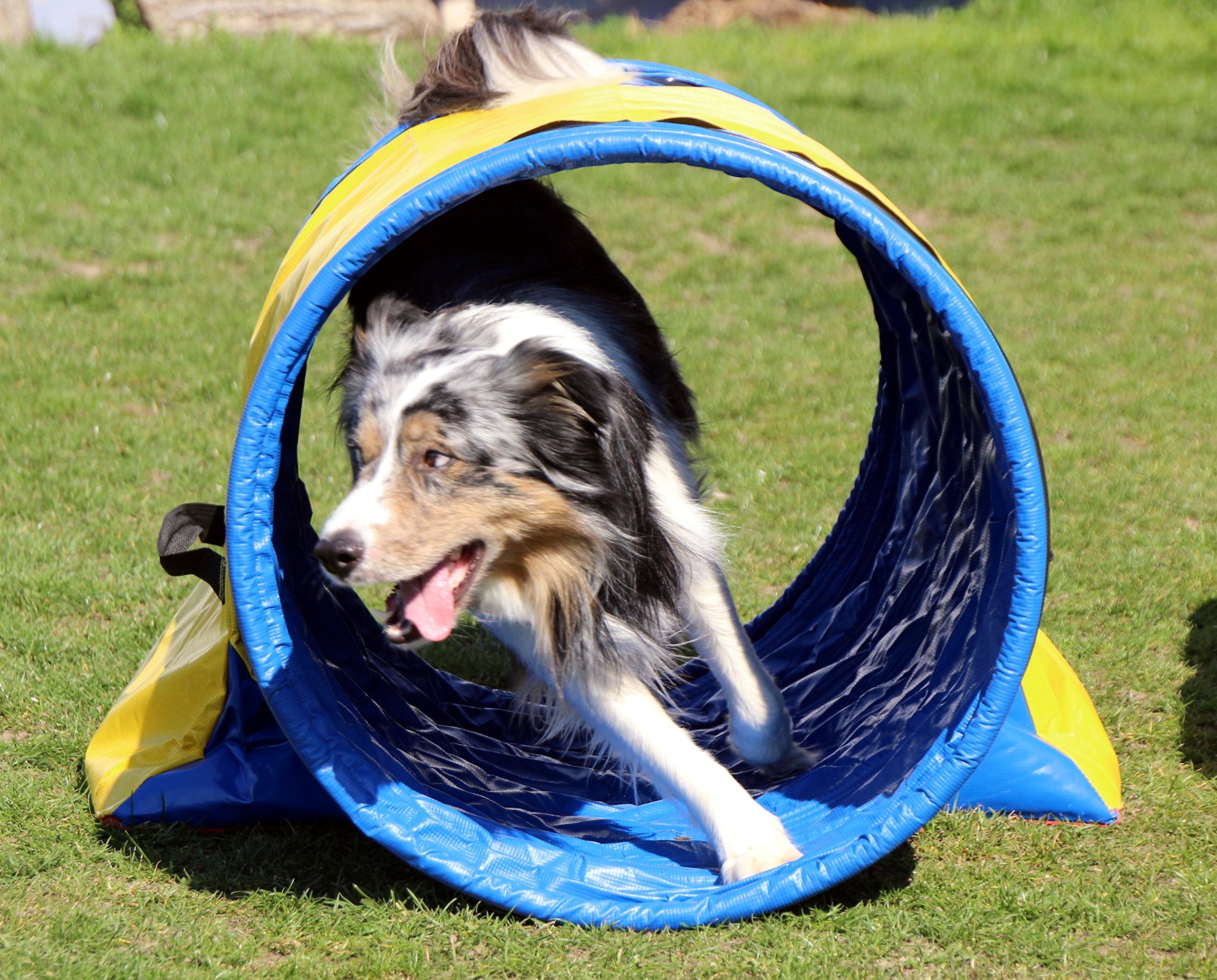 Callieway Hoopers Agility Tunnel Set "Profi" – Orig Tunnel Set per JAD (2 pezzi) per Hoopers & JAD Dog Sport (80 cm Ø 100 cm di lunghezza, blu/giallo)