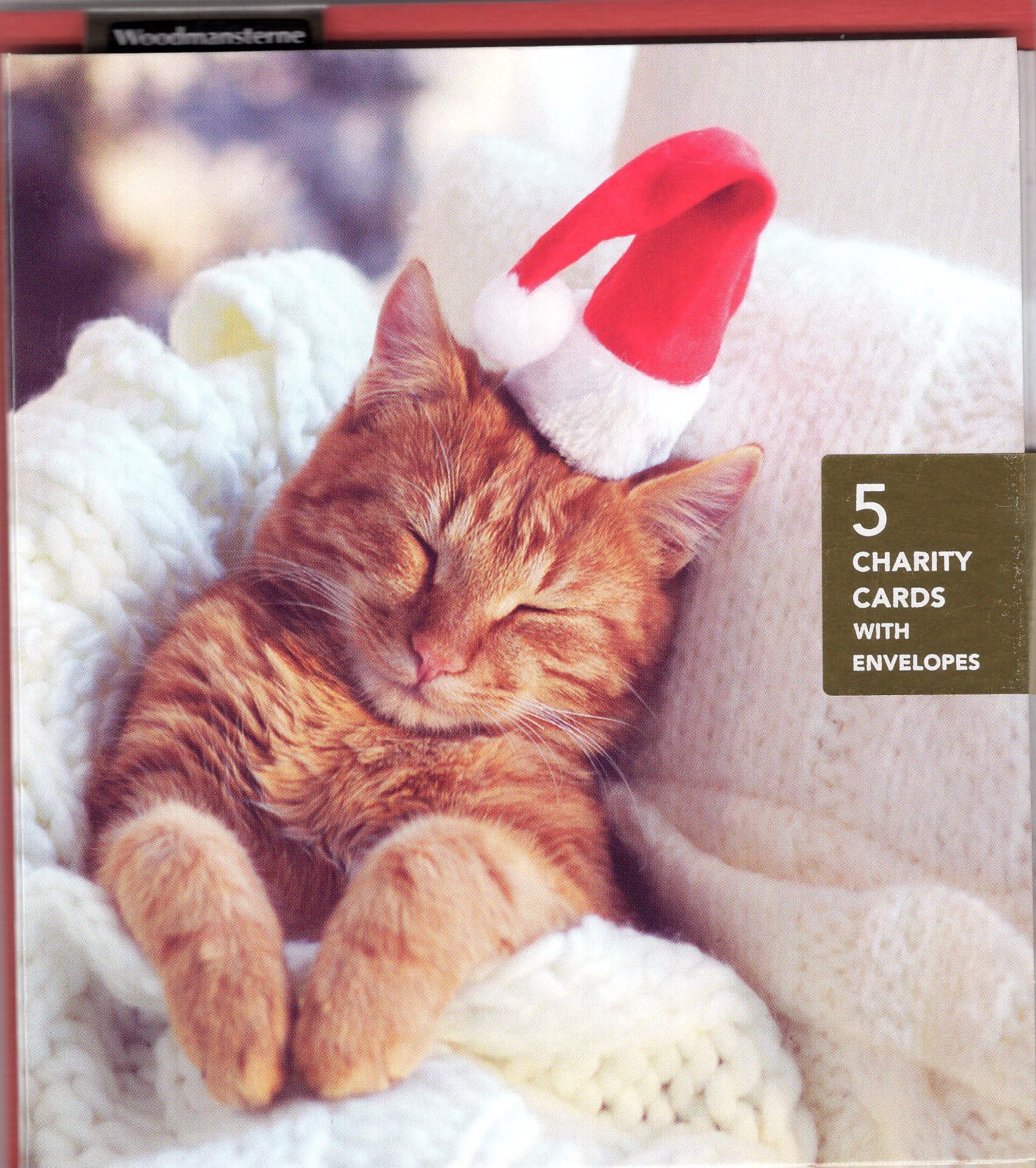 Woodmansterne Charity Christmas Cards Pack of 5 - Sleeping Festive Cat - Cute Christmas Cards Multipack - In Aid of UK Charities - Image 2