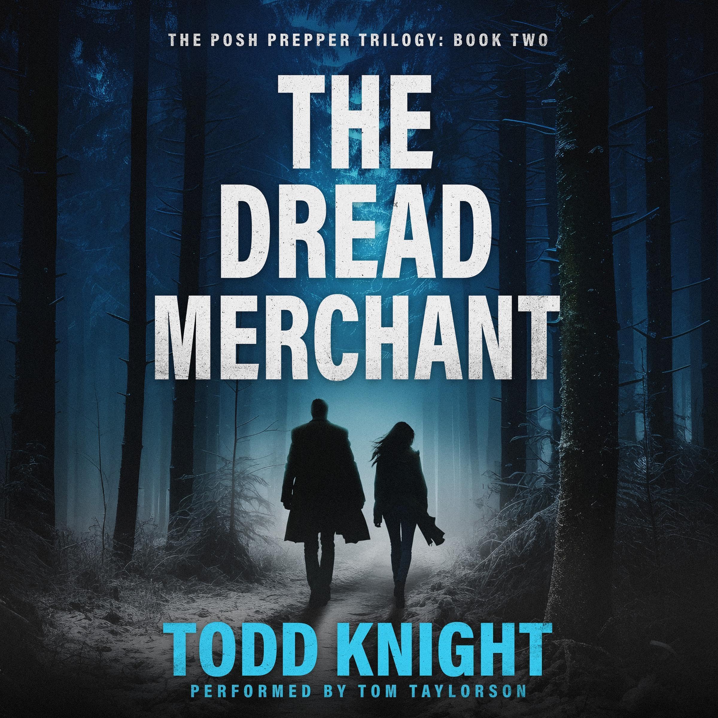 Cover art for The Dread Merchant