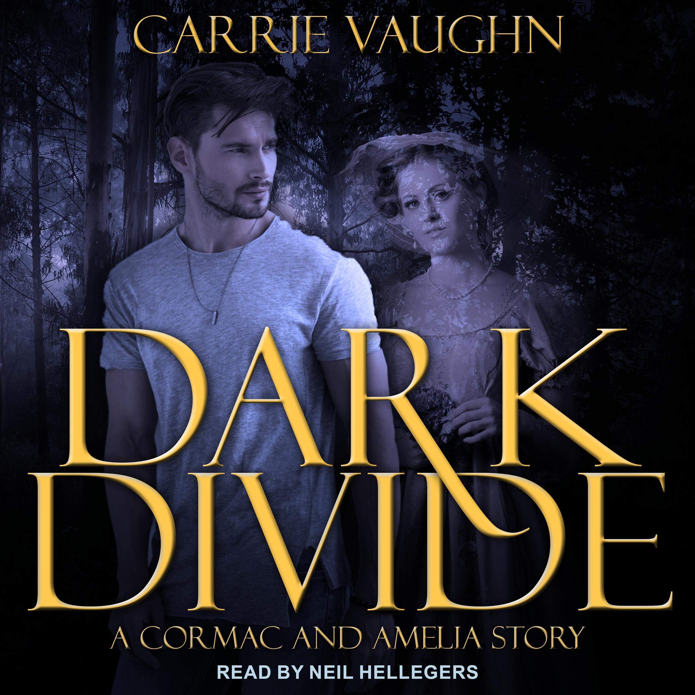Cover art for Dark Divide &amp; Badlands Witch