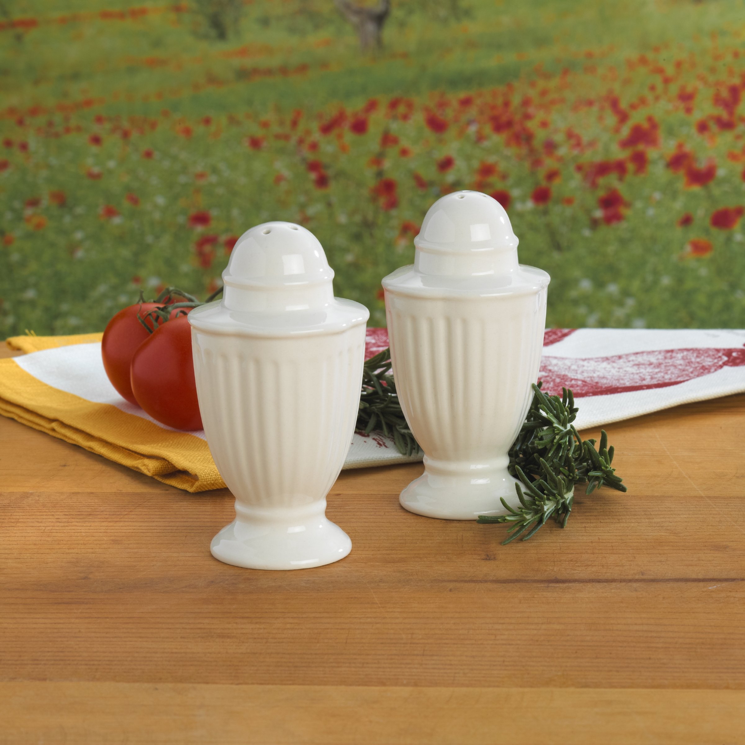 Amazon.com: Mikasa Italian Countryside Salt and Pepper Set - DD900