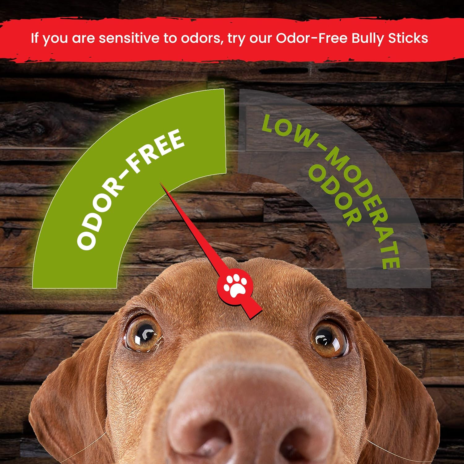 Sancho & Lola's 6-Inch Thin 6oz (10-14 Count) Odor-Free Bully Sticks for Dogs Made in USA/Sourced in USA/Human-Grade/Chef-Prepared/Rawhide-Free Beef Pizzle Dog Chews