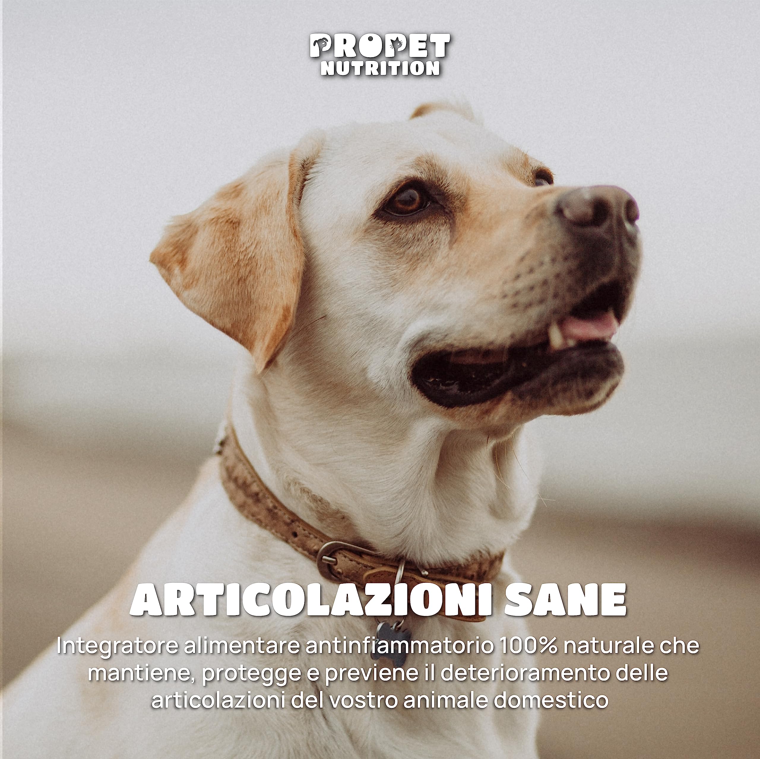 Integratore Articolazioni Cane e Gatto. 180 Compresse. Glucosamina e Condroitina, Collagene, 10 Vitamine per Cani e Gatti. Alta Concentrazione. Antifiammatorio. Supporta la Mobilità. Joint Care Cani