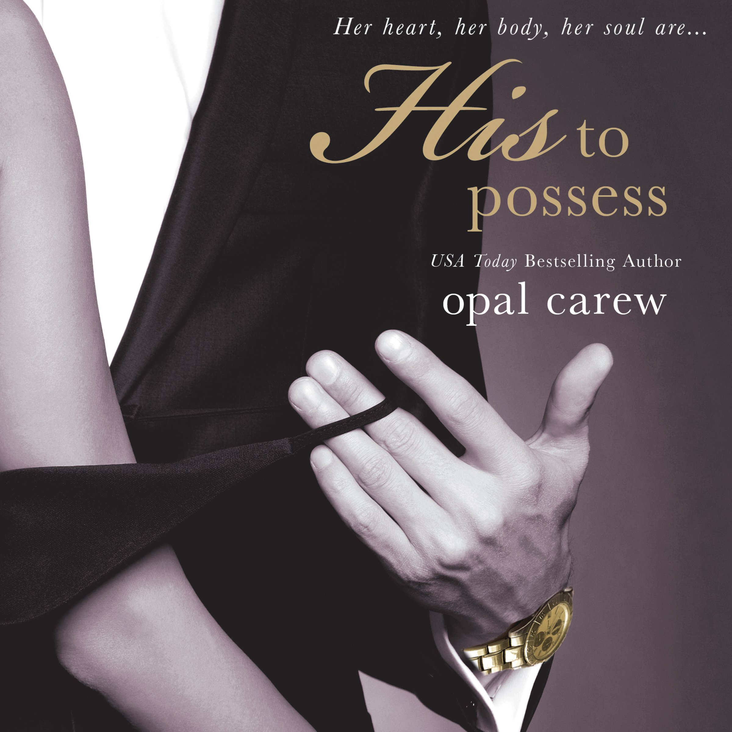 Cover art for His to Possess