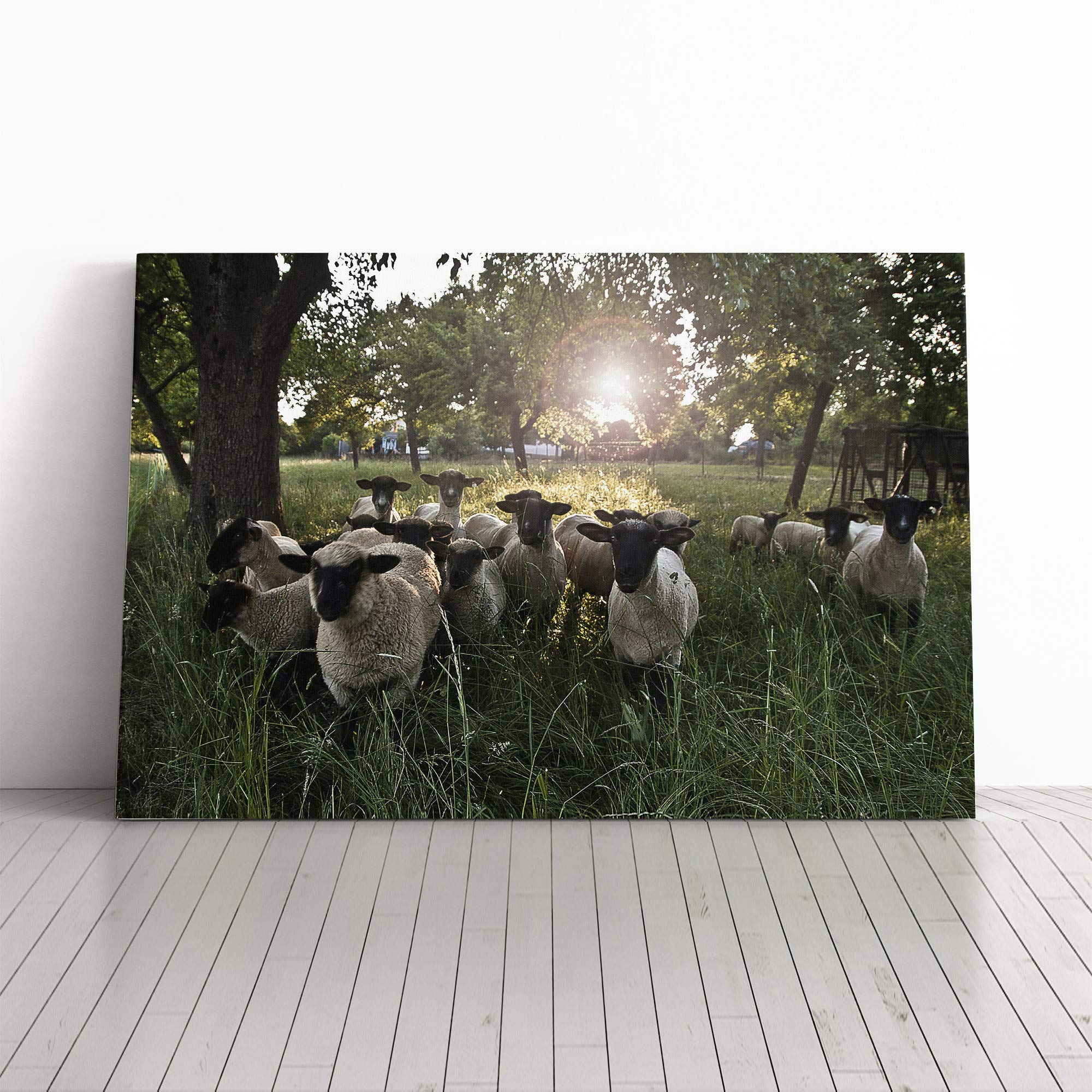 Sheep Flock (1) Canvas Print | Gallery Wrapped 30mm Frame Wall Art | 30x20 inches | Ready to Hang | Modern Animals Picture | Living Room Bedroom Lounge Office