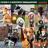 Ver la foto 6