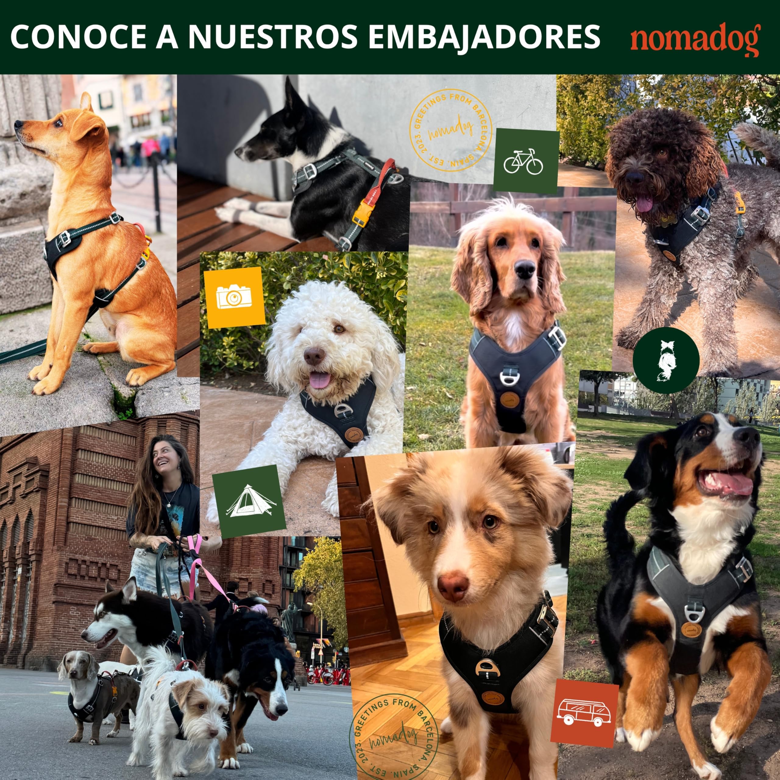 Nomadog Trailblazer Arnes Perro Grande Sin Tirones con Asa - Ajuste Óptimo, Reflectante 3M, Aluminio No Oxidante, Materiales Reciclados - Ideal para Perros Activos (XL)