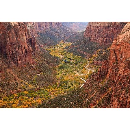 12 Feet Wide By 10 Feet High Prepasted Robust Wallpaper Full Wall Size Mural From A Photo Of Sagano Bamboo Forest Kyoto Japan Easy To Hang Remove And Reuse Hang Again If You Do As In Our 12 Feet Wide By 10 Feet High Prepasted Robust Wallpaper Full Wall Size Mural From A Photo Of Sagano Bamboo Forest Kyoto Japan Easy To Hang Remove And Reuse Hang Again If You Do As In Our