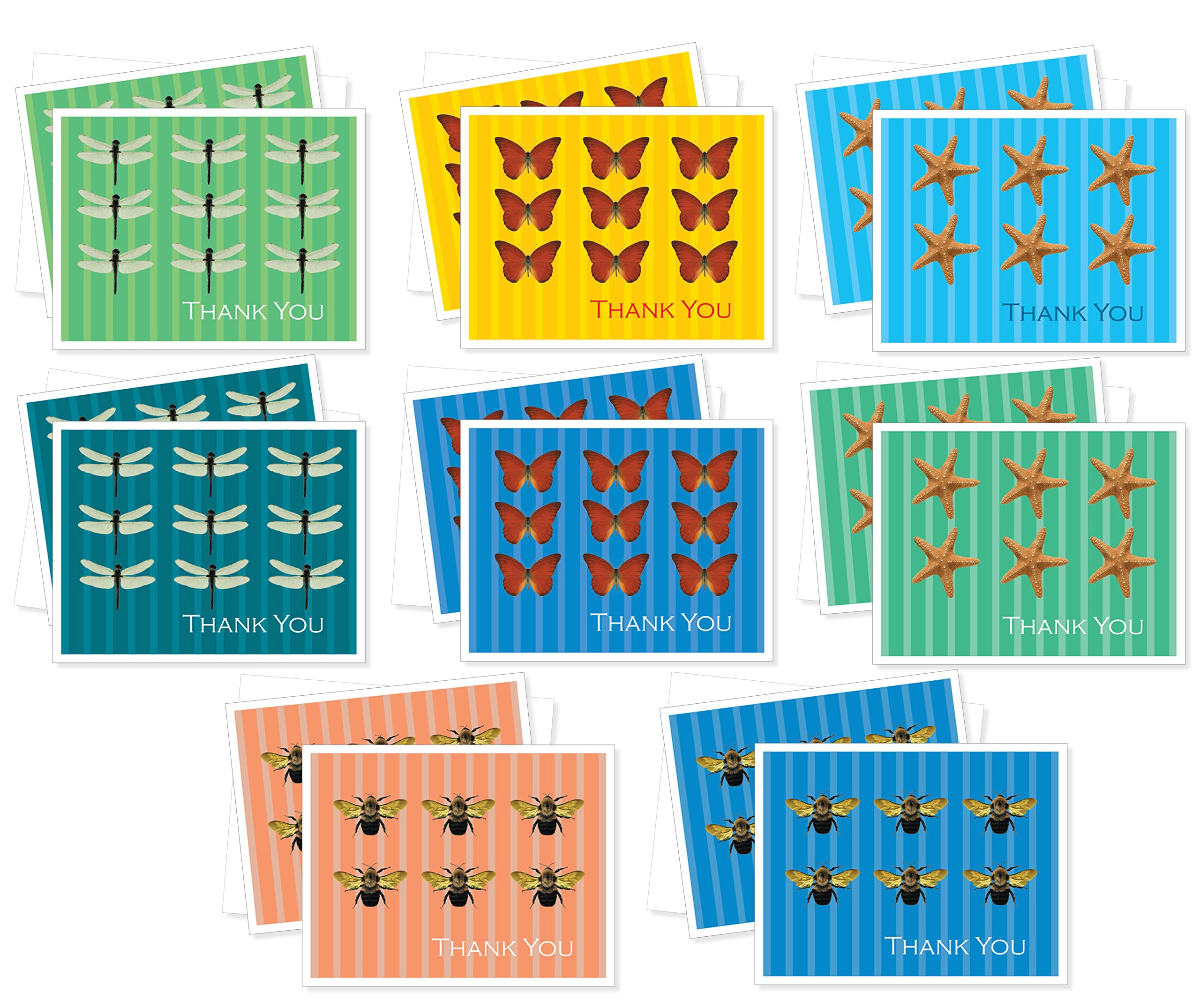 Assorted Thank You Premium Greeting Cards - Set of 16 Cards Including 2 Each of 8 Designs Packaged In Bulk