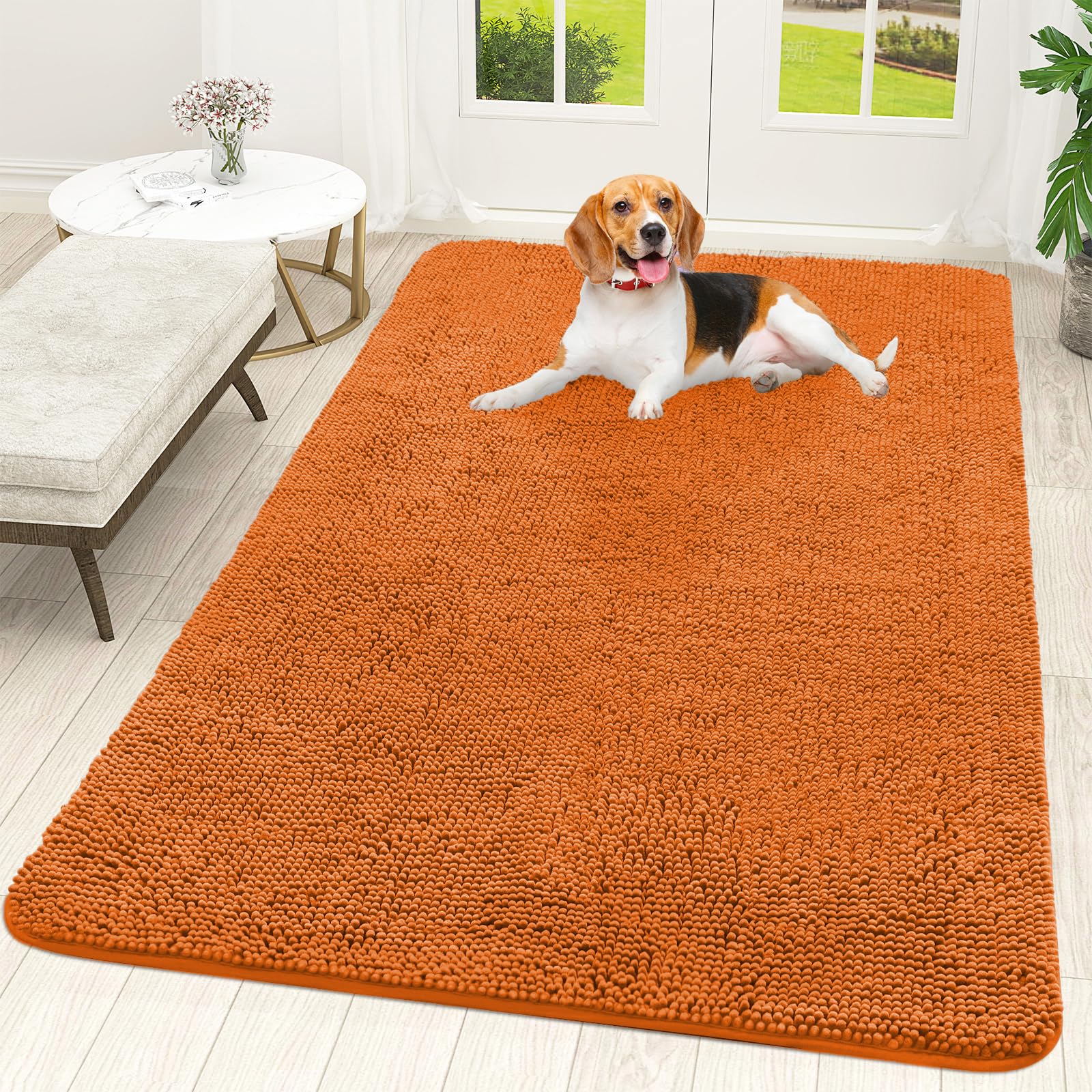 OLANLY Dog Door Mat for Muddy Paws 59x35, Super Absorbent Chenille Mud Mat
