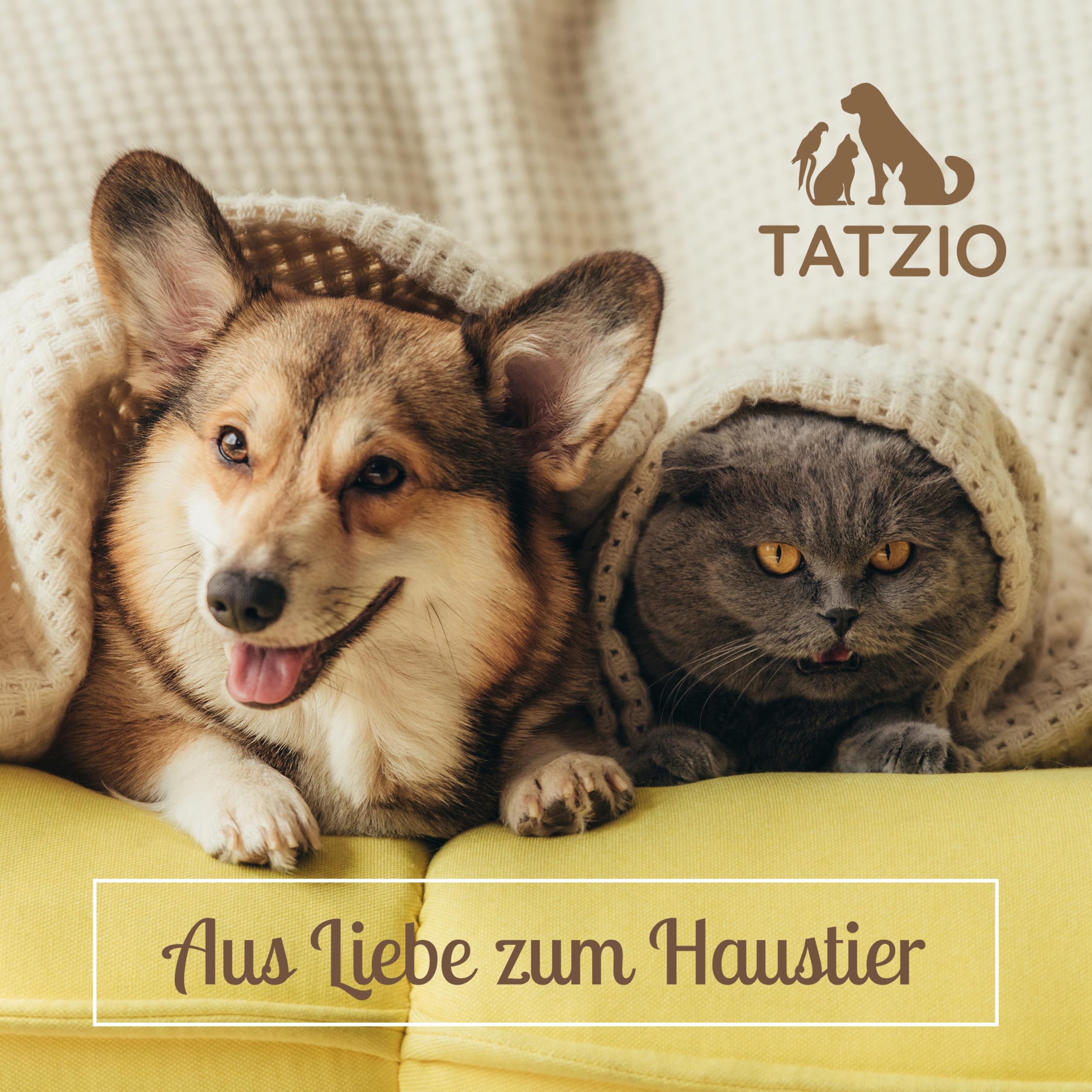Designer Katzenhöhle grau – Lustige Schlafhöhle & Katzenhaus mit Kissen, Katzenbett, Faltbarer Rückzugsort für Katzen, Kitten und Kater, kuschelig & formstabil