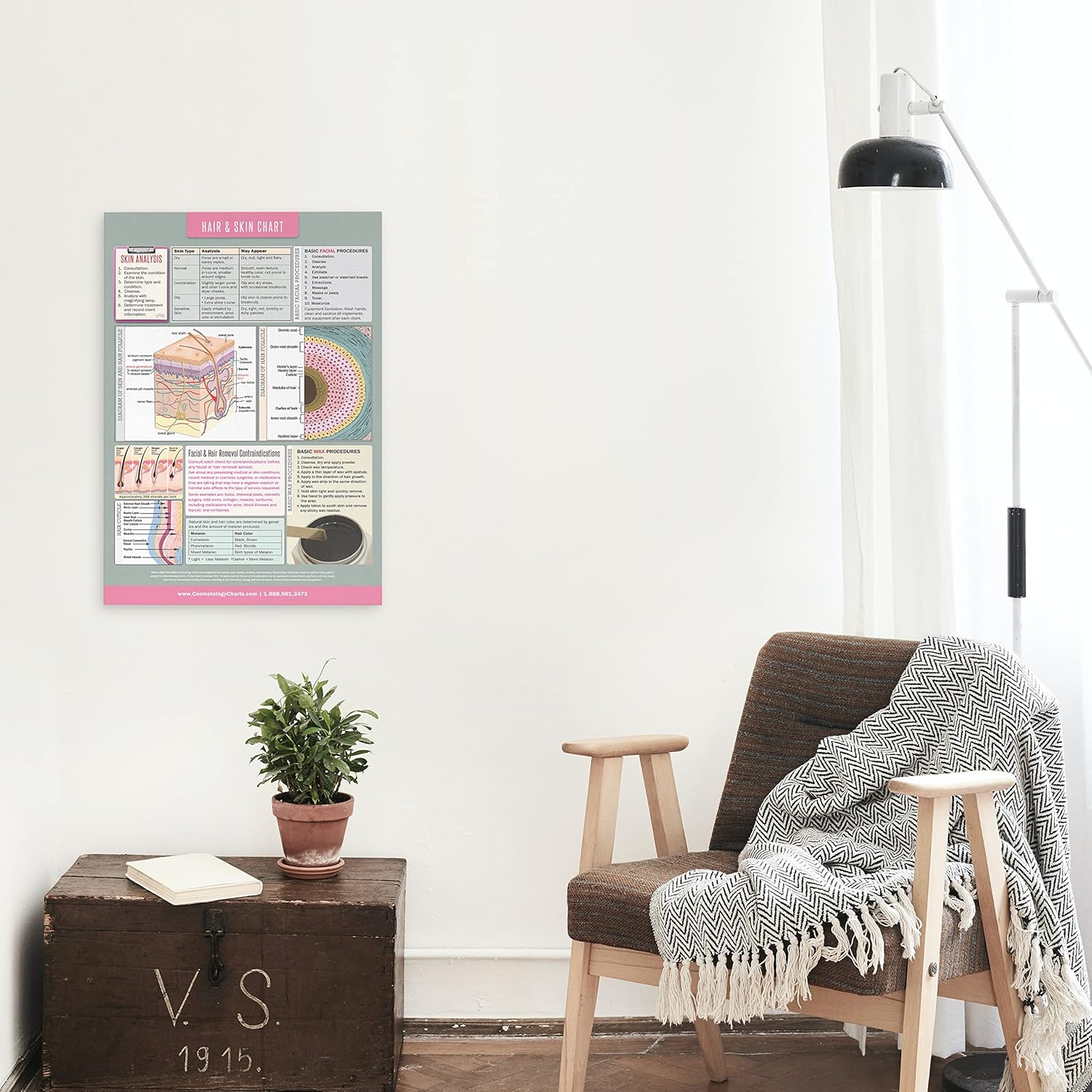 Ciao Bella Educational Anatomical High Gloss Laminated Poster - 18" x 27" - Human Skin Layers, Hair Follicle Diagram, Skin Analysis Procedures