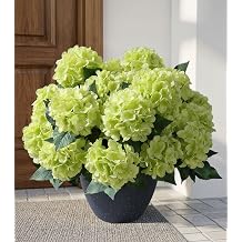 Ivydale Artificial Flowers for Outdoors, 4 PCS Green Fake Silk Hydrangea Flower Stems for Bouquets UV Resistant Realistic Faux Plants Home Outdoor Wedding Party Centerpieces Decor