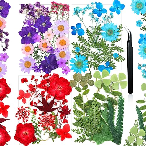 Miniatura 1 de Flores prensadas de resina para molde de resina, hojas de flores secas de margaritas reales naturales con pinzas para álbumes de recortes,