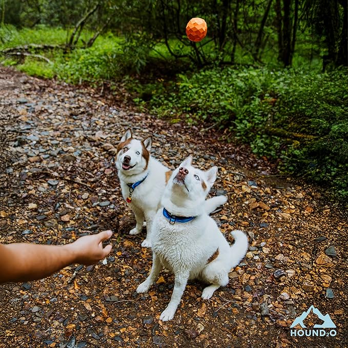 Pelota Squeaky Flotante para Perros Hound2O Naranja miniatura 3