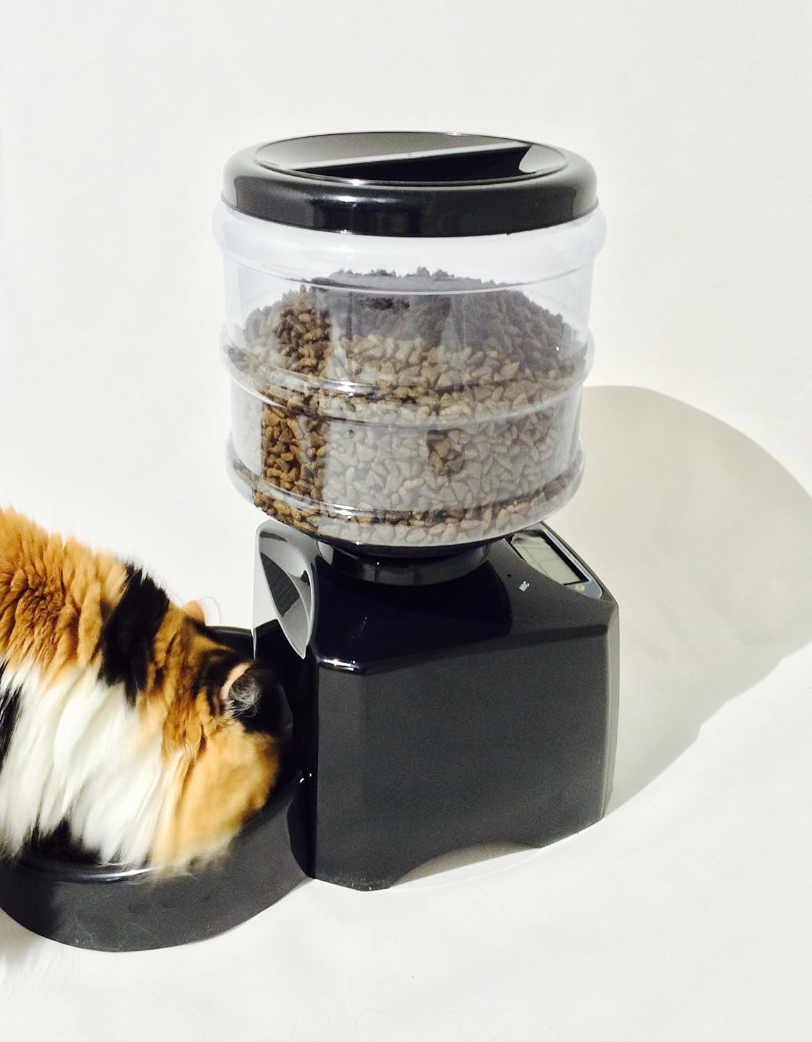 Programmable Dry Food Feeder, Automatically Dispenses Food for Portion Control Amazon.in Pet