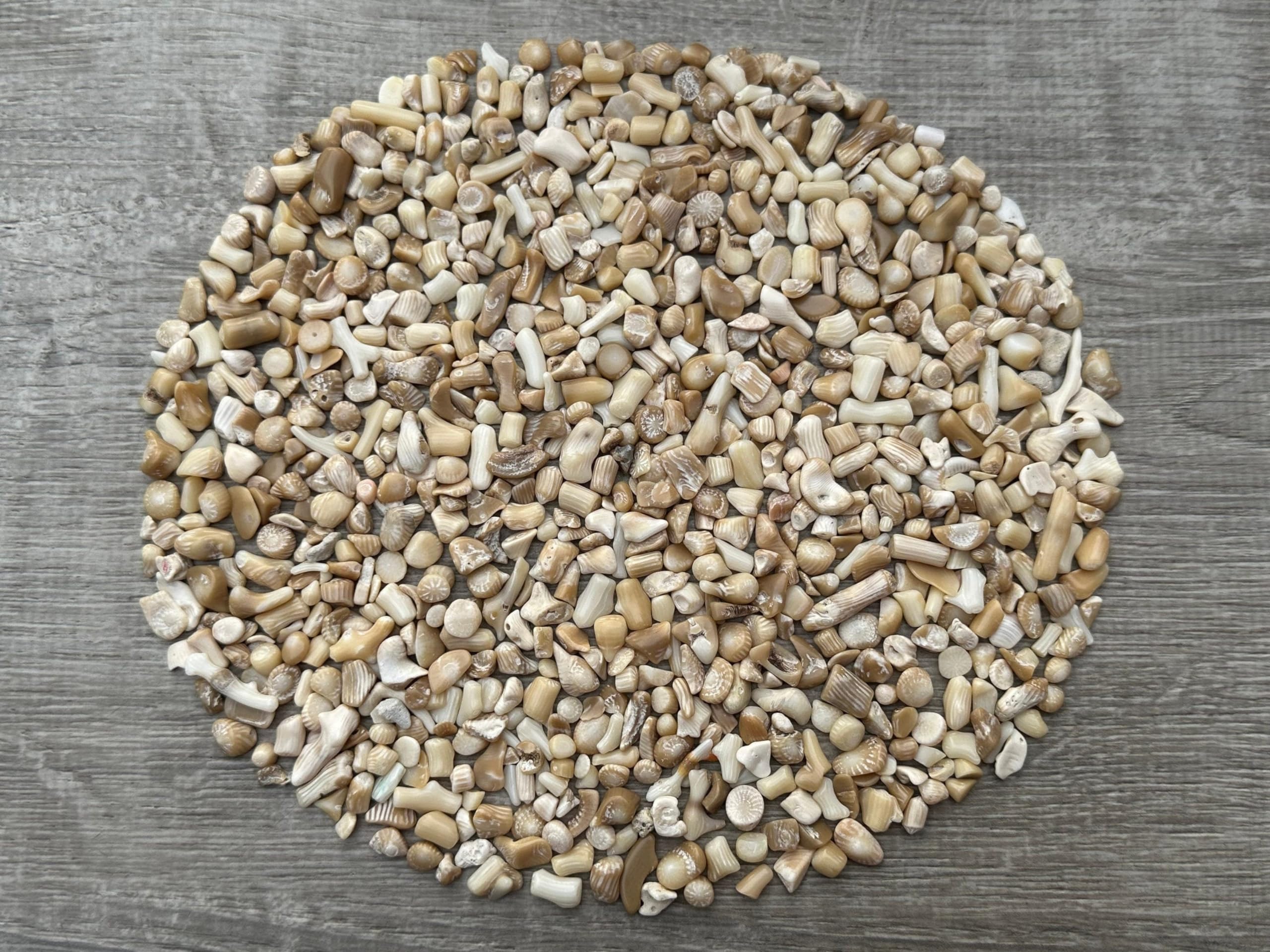 2 oz Lot Natural Semi Tumbled Gemstone Chips, Crushed Mini Crystals, Undrilled Crystal Chips (White Bamboo Coral)